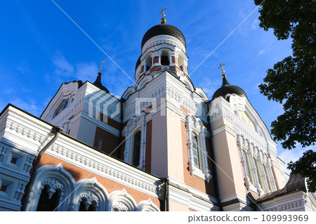 塔林亞歷山大·內夫斯基·卡特德拉爾的獨特建築 109993969