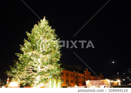 Lit up Christmas tree Lit up Christmas tree 109994220