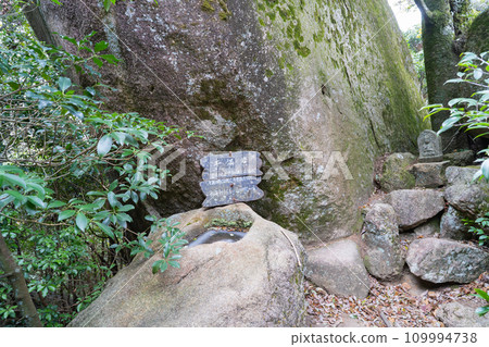 Senmaniwa (Miyajima) 109994738