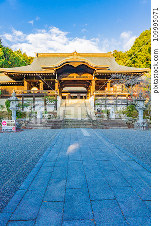 Omi Shrine Outer Worship Hall in Jingu-cho, Otsu City, Shiga Prefecture (Registered Tangible Cultural Property) 109995071