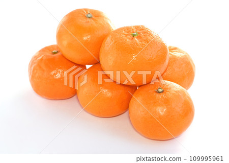 Citrus fruits (Harehime) 109995961