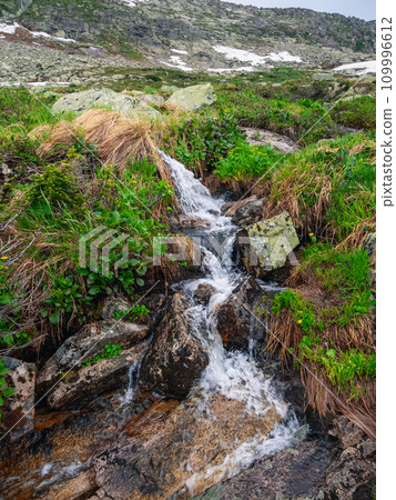 Alpine stream, clear water. Mountain river stream flowing through a green rockland. Alpine stream, clear water. Mountain river stream flowing through a green rockland. 109996612