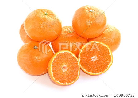 Citrus fruits (Harehime) 109996732