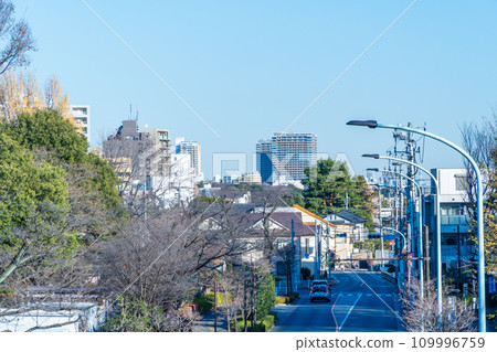東京國分寺市的住宅區風景 109996759