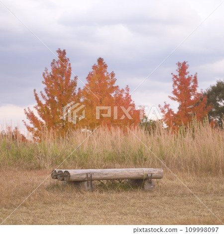 A landscape with a bench 109998097