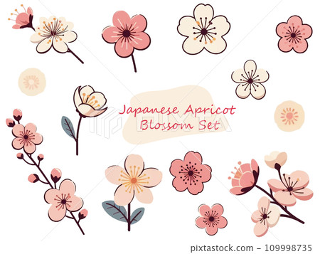 Cute plum blossom watercolor illustration set Cute plum blossom watercolor illustration set 109998735