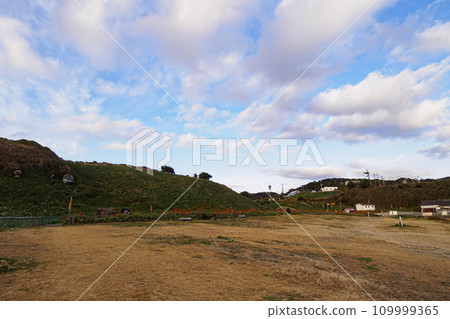 Winter in Tsumekizaki, Shimoda City, Shizuoka Prefecture, Izu Peninsula (aloe and narcissus) Winter in Tsumekizaki, Shimoda City, Shizuoka Prefecture, Izu Peninsula (aloe and narcissus) 109999365