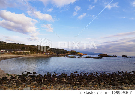 Winter in Tsumekizaki, Shimoda City, Shizuoka Prefecture, Izu Peninsula (aloe and narcissus) Winter in Tsumekizaki, Shimoda City, Shizuoka Prefecture, Izu Peninsula (aloe and narcissus) 109999367