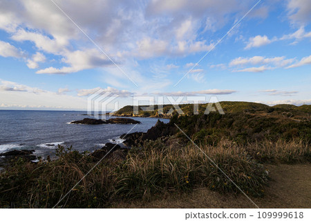 Winter in Tsumekizaki, Shimoda City, Shizuoka Prefecture, on the Izu Peninsula 109999618