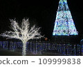 white tree illumination 109999838