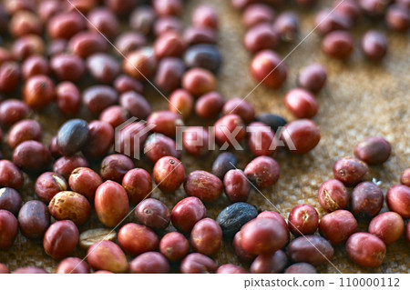 coffee beans berries drying natural process 110000112
