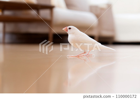 AI-generated image of white sparrow playing in the living room 110000172