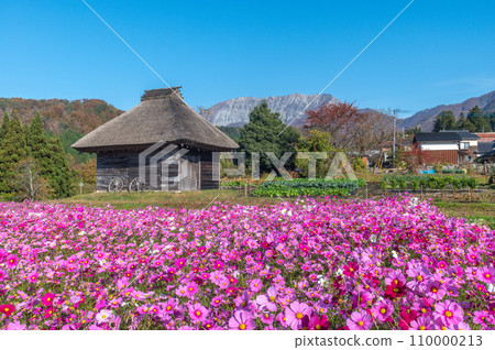 波斯菊田和大山 波斯菊田和大山 110000213