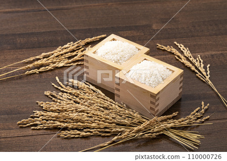 White rice and paddy in a bowl 110000726
