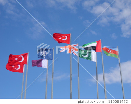 International Flags Waving on a Sunny Day International Flags Waving on a Sunny Day 110001452