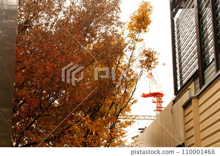 彩色秋葉植物秋季公園(2023年12月註冊) 彩色秋葉植物秋季公園(2023年12月註冊) 110001468