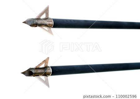 Broadhead Point Hunting Arrowhead Broadhead Point Hunting Arrowhead 110002596