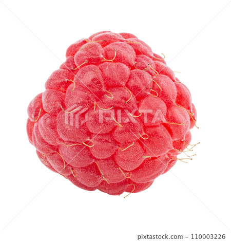 One fresh raspberry fruit isolated in white background. Isolated berries. One fresh raspberry fruit isolated in white background. Isolated berries. 110003226