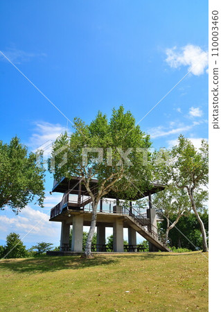 Yamamotoyama Plateau Observatory (Niigata Prefecture) 110003460