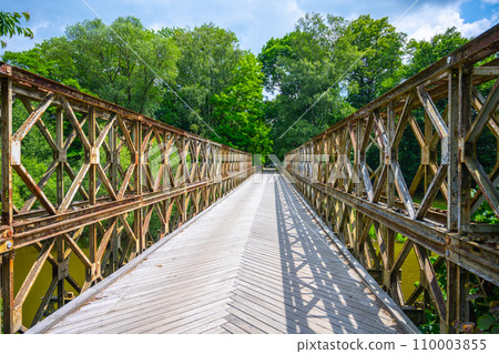 Old truss bridge over Sazava River, Czechia 110003855