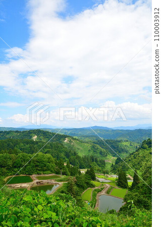 A single cedar in Yamakoshi (Niigata Prefecture) A single cedar in Yamakoshi (Niigata Prefecture) 110003912