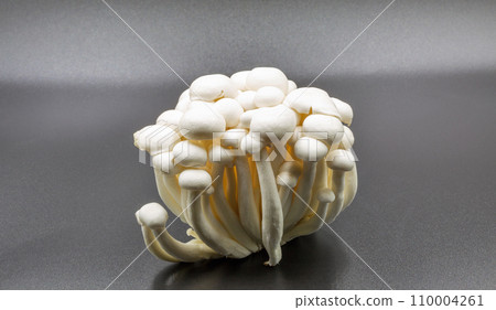 Chinese enoki mushrooms closeup against black Chinese enoki mushrooms closeup against black 110004261