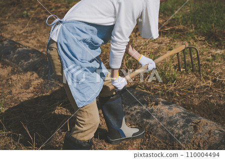 harvest, gents, male 110004494