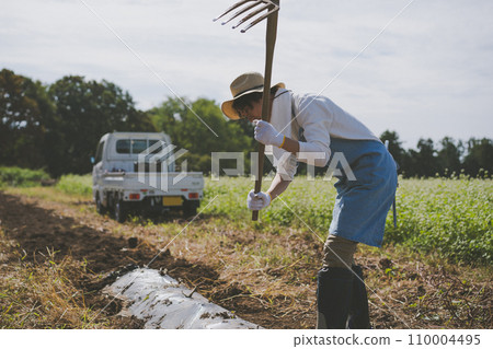 harvest, male, males 110004495