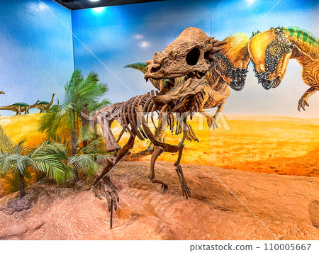 Sirindhorn Dinosaur Museum in Kalasin, thailand 110005667