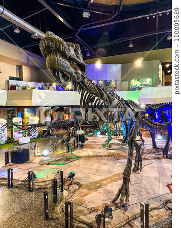 Sirindhorn Dinosaur Museum in Kalasin, thailand Sirindhorn Dinosaur Museum in Kalasin, thailand 110005689