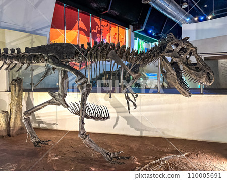 Sirindhorn Dinosaur Museum in Kalasin, thailand 110005691