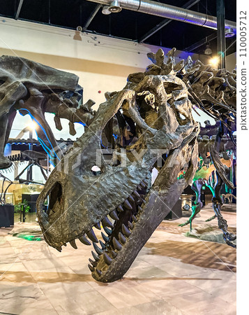 Sirindhorn Dinosaur Museum in Kalasin, thailand Sirindhorn Dinosaur Museum in Kalasin, thailand 110005712