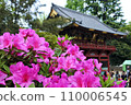 神社的杜鵑花盛開 110006545