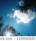 A blue sky with sun, clouds, and trees. 110006846