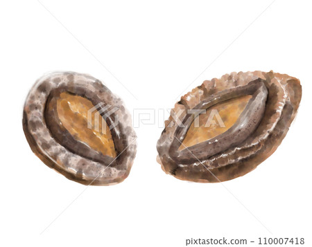 Watercolor abalone 01_1 Watercolor abalone 01_1 110007418
