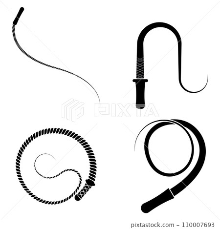 Whip icon 110007693