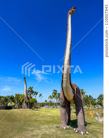 Kaeng Don Klang Park in Kalasin, Thailand 110007845