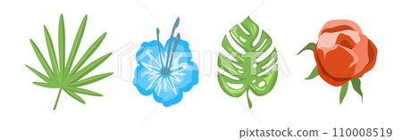 Tropical Blooming Flora and Botany Plant Vector Set 110008519