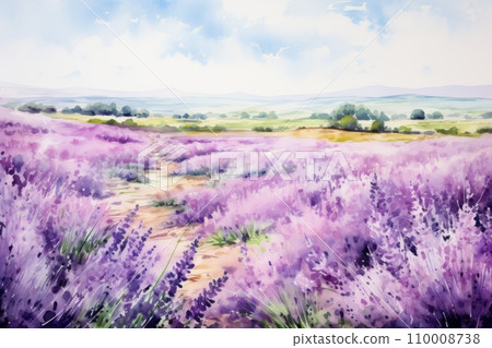 Blooming fields of purple lavender 110008738