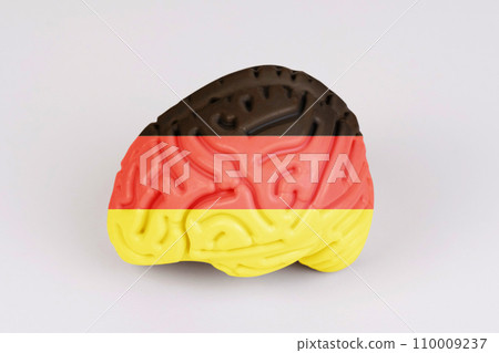 On a white background, a model of the brain with a picture of a flag - Germany 110009237