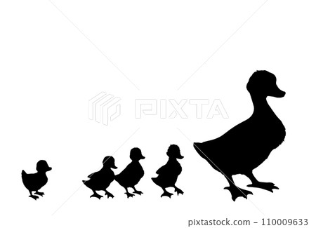 Mother duck with ducklings. Vector outline drawing Mother duck with ducklings. Vector outline drawing 110009633