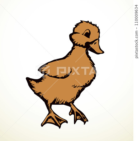 Cute duckling. Vector outline drawing Cute duckling. Vector outline drawing 110009634