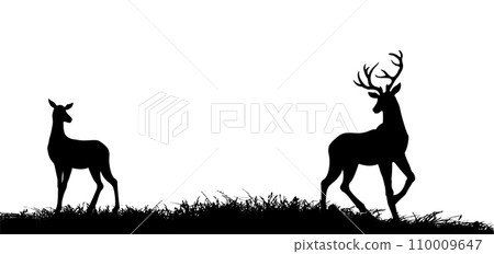 Silhouette of deer in the grass by the oaks. Vector drawing Silhouette of deer in the grass by the oaks. Vector drawing 110009647