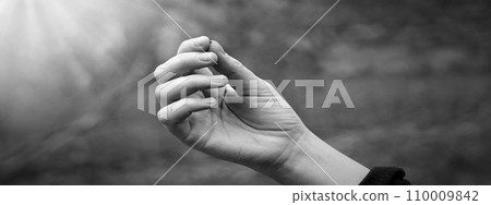 Hand holding a small mustard seed 110009842