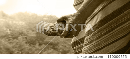 Male hand with big stone 110009853