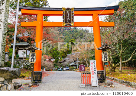 Hiyoshi Taisha Shrine Red Torii in Sakamoto, Otsu City, Shiga Prefecture Hiyoshi Taisha Shrine Red Torii in Sakamoto, Otsu City, Shiga Prefecture 110010460