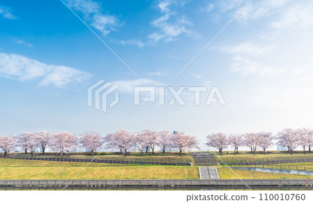 "Tokyo" Arakawa Akabane Sakuratsutsumi A row of cherry blossom trees in the green area "Tokyo" Arakawa Akabane Sakuratsutsumi A row of cherry blossom trees in the green area 110010760