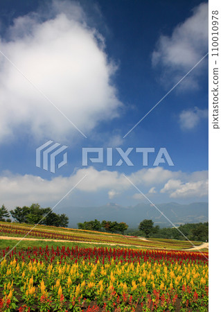 Nasu Flower World 110010978