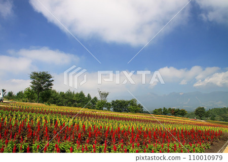 Nasu Flower World 110010979
