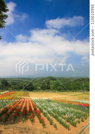 Nasu Flower World Nasu Flower World 110010998